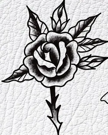 Rosa